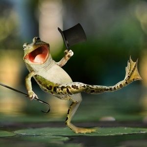 Meet your Posher, Antonio